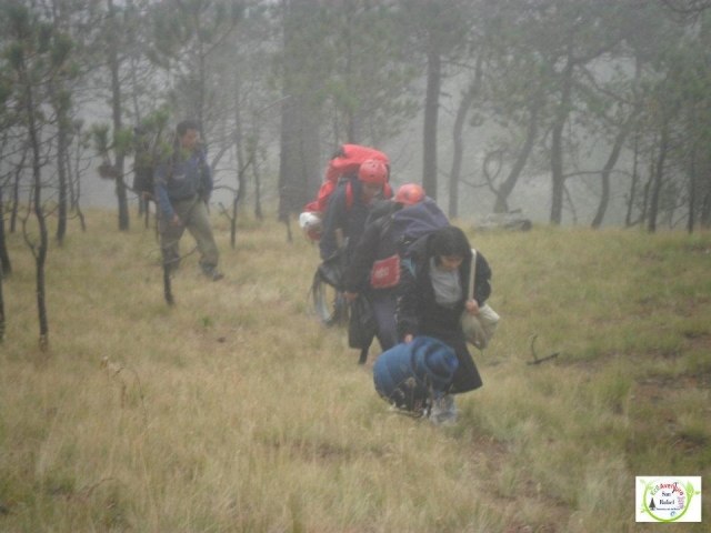 Caminando entre la niebla